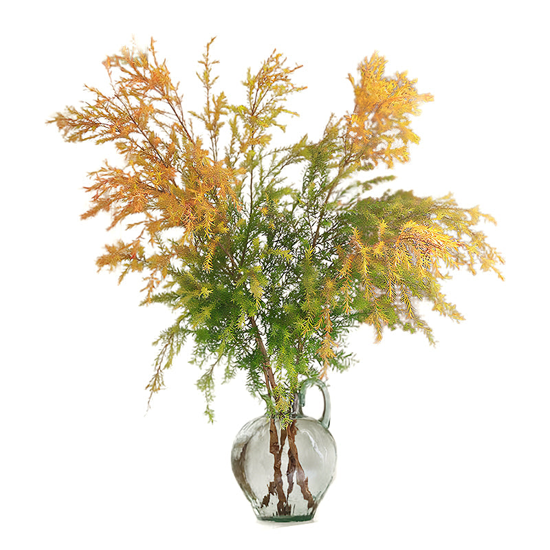 Fresh Cut Melaleuca Bracteata