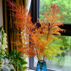 Fresh Cut Melaleuca Bracteata