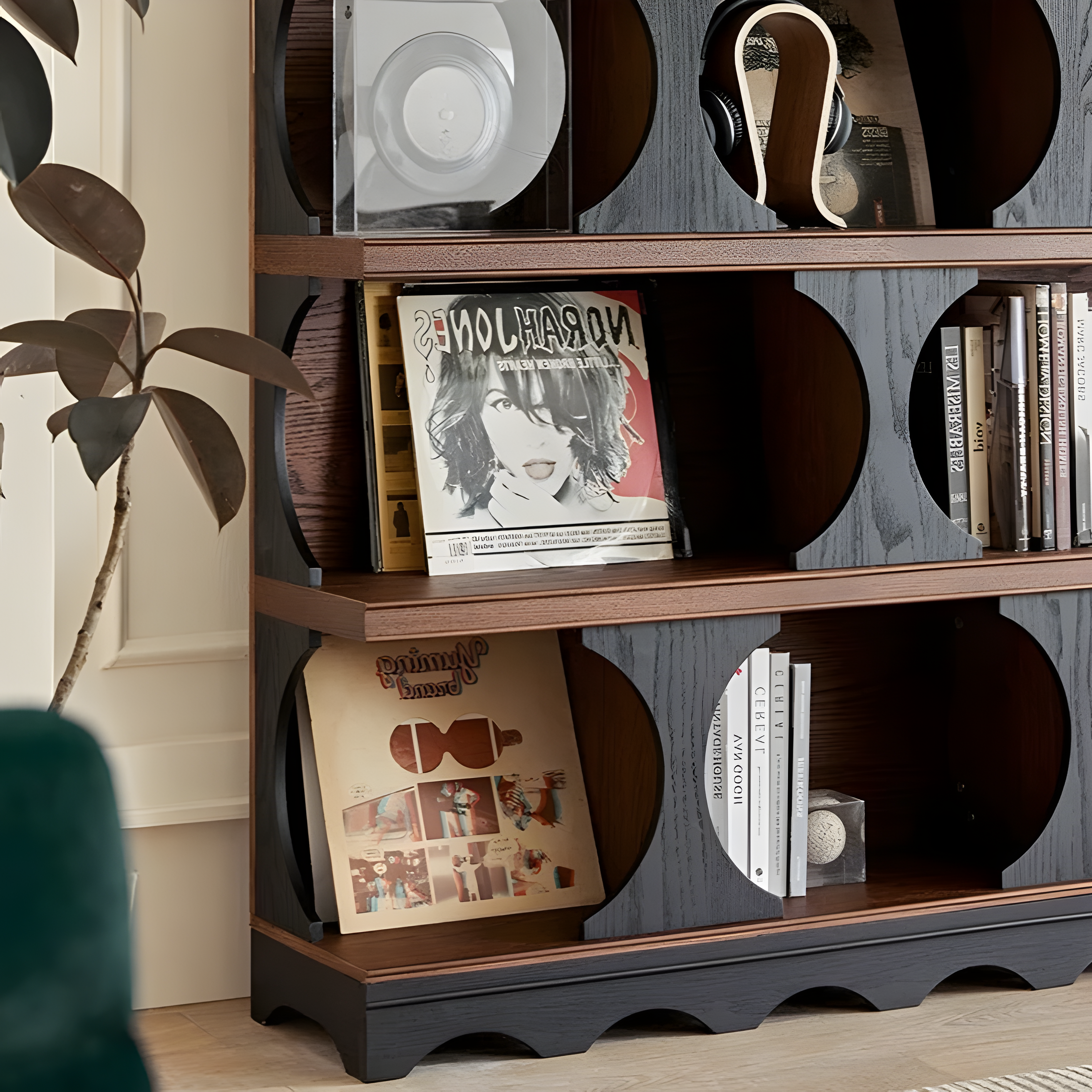 Darwin Display Shelf