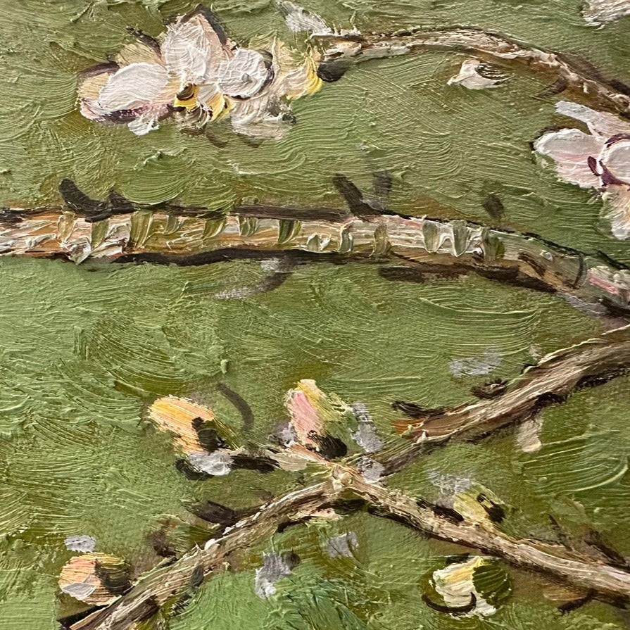 Almond Blossoms Oil Painting