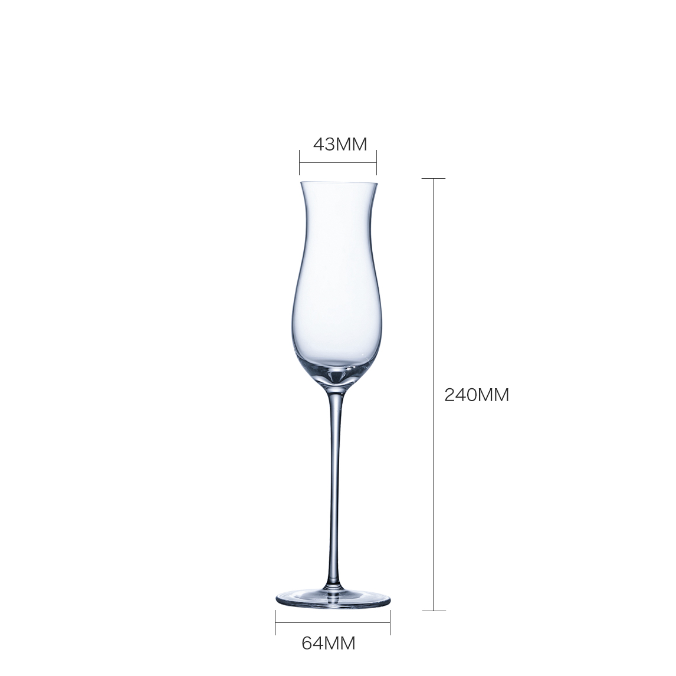 Sparkling Wine Glass