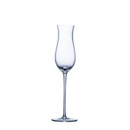 Sparkling Wine Glass