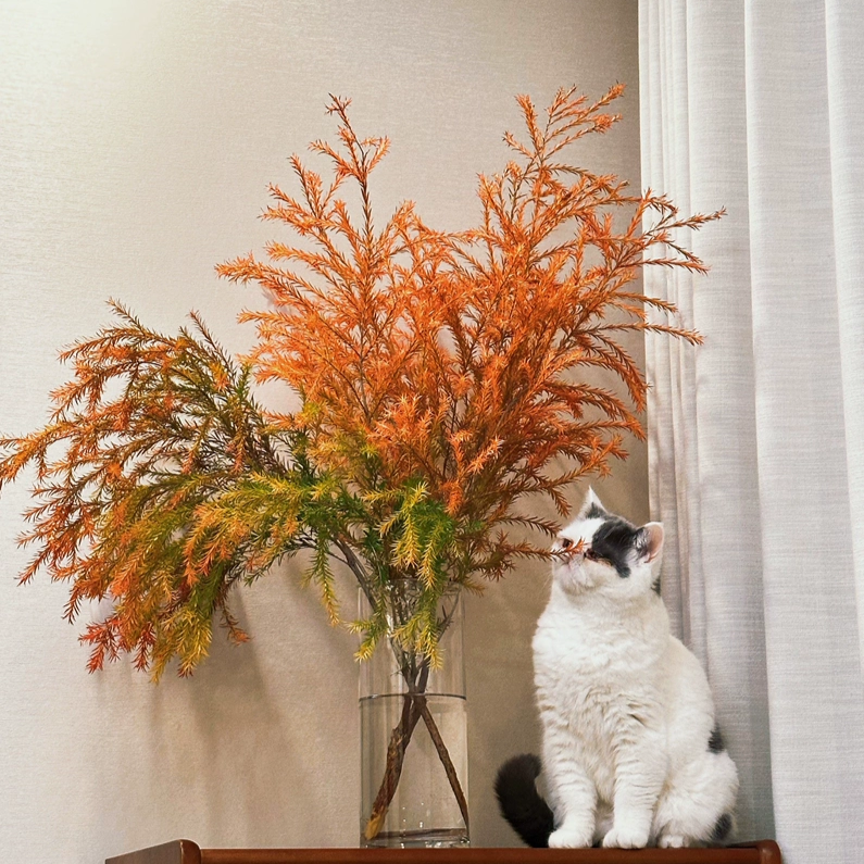 Fresh Cut Melaleuca Bracteata