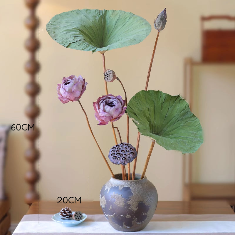 Dried Lotus Set