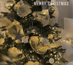 Christmas Tree - Xavier