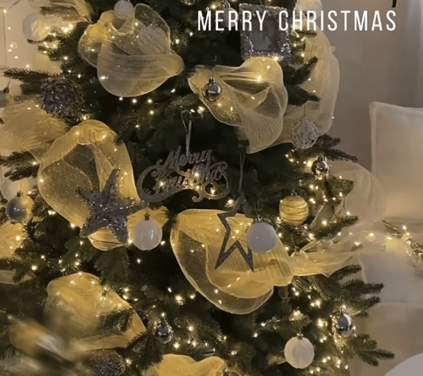 Christmas Tree - Xavier