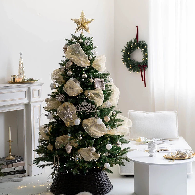 Christmas Tree - Xavier