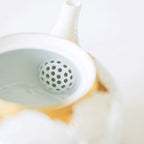 Aritayaki Teapot Set