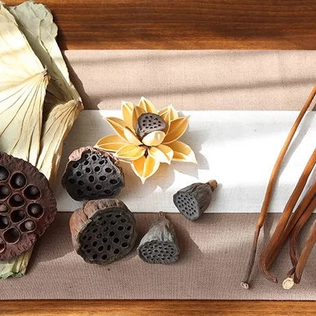 Dried Lotus Set