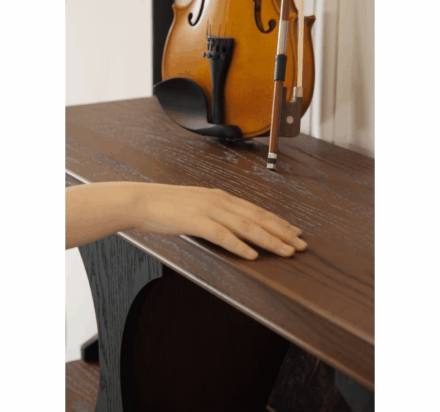 Darwin Display Shelf