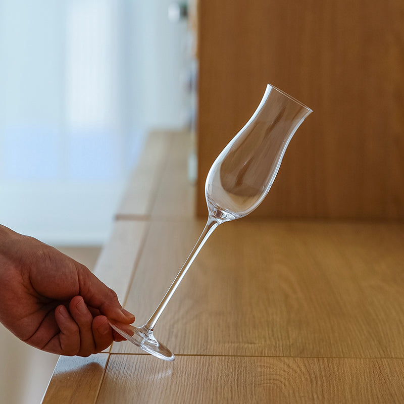 Sparkling Wine Glass