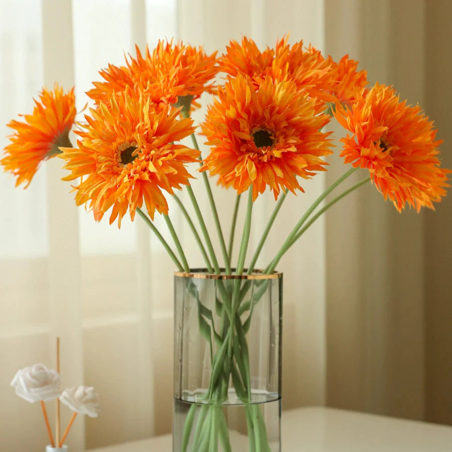 Gerbera