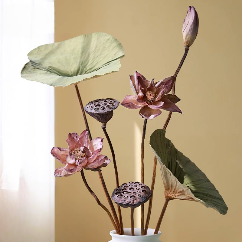 Dried Lotus Set