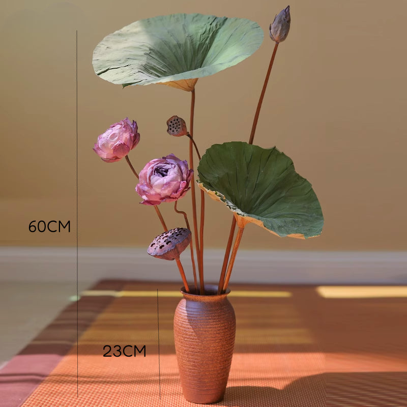 Dried Lotus Set