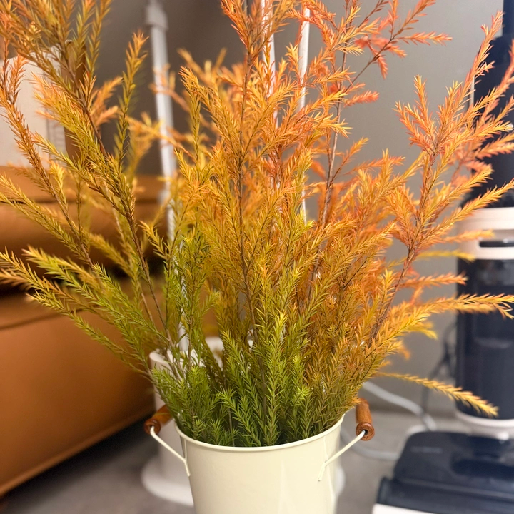 Fresh Cut Melaleuca Bracteata